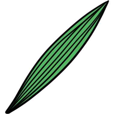 a lanceolate leaf.